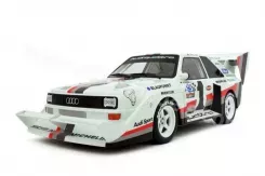 Ottomobile Audi Sport Quattro S1 Pikes Peak 1:12 G010